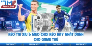 Kèo Tài Xỉu & Mẹo Chơi Kèo Hay Nhất Dành Cho Game Thủ